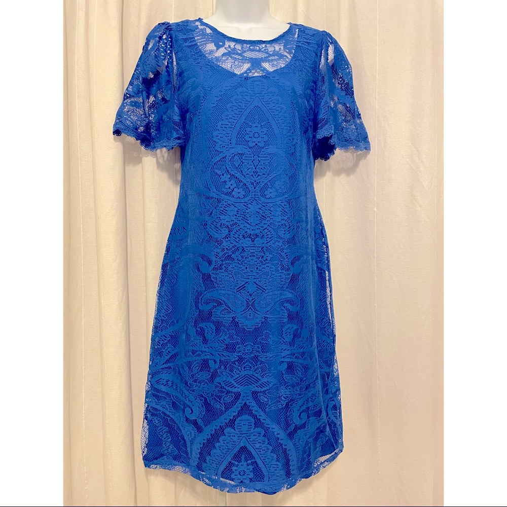 NWT Stunning Cobalt Blue Lace Dress Size 4
